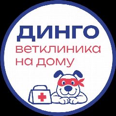 Канал ДИНГО. Ваша ветеринарная клиника на дому в мессенджере MAX — 63 подписчика