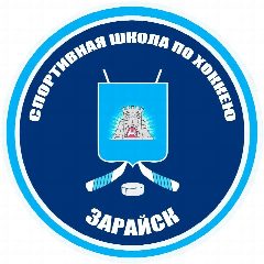 Канал МБУ ДО "СПОРТИВНАЯ ШКОЛА ПО ХОККЕЮ "ЗАРАЙСК" в мессенджере MAX — 39 подписчиков
