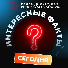 Канал А Вы знали? 😱 Интересные факты в мессенджере MAX — 76 подписчиков