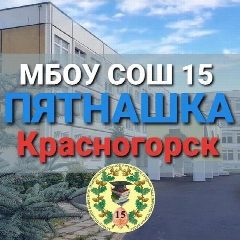 Канал ПЯТНАШКА Красногорск в мессенджере MAX — 1 232 подписчика