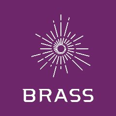 Канал BRASS в мессенджере MAX — 126 подписчиков