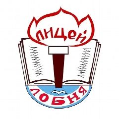 Канал Лицей г. о. Лобня в мессенджере MAX — 743 подписчика