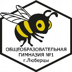 Канал Гимназия №1, Люберцы в мессенджере MAX — 942 подписчика