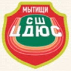 Канал ИНФОКАНАЛ спортивной школы ЦДЮС в мессенджере MAX — 252 подписчика