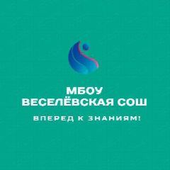 Канал Веселёвская школа Наро-Фоминский г.о. в мессенджере MAX — 218 подписчиков