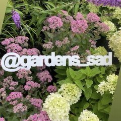 Канал Садовый центр GARDENS I Москва в мессенджере MAX — 1 364 подписчика