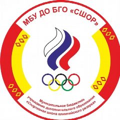 Канал МБУ ДО БГО "СШОР" в мессенджере MAX — 348 подписчиков