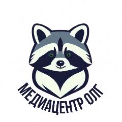 Канал Медиацентр ОЛГ, Одинцовский в мессенджере MAX — 1 652 подписчика