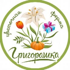 Канал Григорашка цветочная ферма в мессенджере MAX — 29 подписчиков