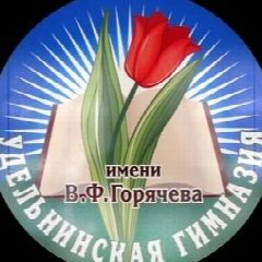 Канал Удельнинская гимназия,Раменский муниципальный округ в мессенджере MAX — 1 110 подписчиков