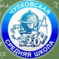 Канал Чулковская школа № 20, Раменский в мессенджере MAX — 790 подписчиков