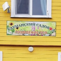 Канал Бауманский садовод (baumsad) в мессенджере MAX — 439 подписчиков