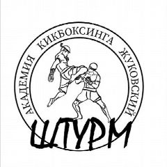 Канал Академия Кикбоксинга " Штурм". Жуковский. в мессенджере MAX — 39 подписчиков