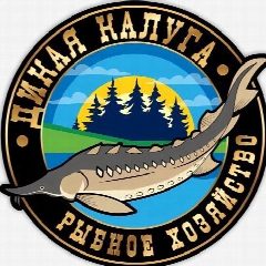 Канал Осетровая ферма «Дикая Калуга» в мессенджере MAX — 48 подписчиков