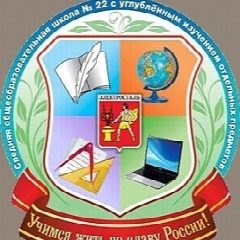 Канал НОВОСТИ 22 школы г.о Электросталь в мессенджере MAX — 1 115 подписчиков