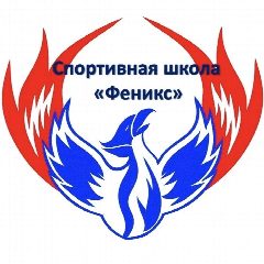 Канал МУ ДО «СШ «Феникс» в мессенджере MAX — 213 подписчиков