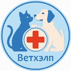 Канал "Ветхэлп" сеть ветеринарных клиник в Москве в мессенджере MAX — 48 подписчиков
