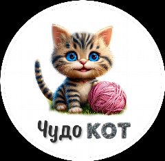 Канал Творческая мастерская "Чудо-кот" в мессенджере MAX — 29 подписчиков