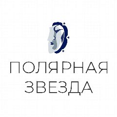 Канал МУК ЦКиД "ПОЛЯРНАЯ ЗВЕЗДА" в мессенджере MAX — 53 подписчика