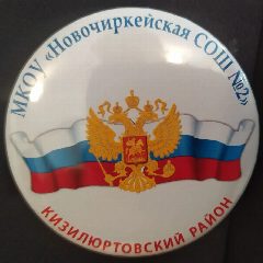 Канал МКОУ "Новочиркейская СОШ №2" в мессенджере MAX — 1 104 подписчика