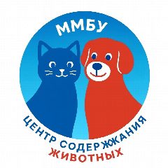 Канал ММБУ «ЦСЖ» в мессенджере MAX — 18 подписчиков