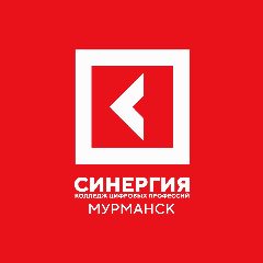 Канал Колледж цифровых профессий «Синергия» | Мурманск в мессенджере MAX — 16 подписчиков