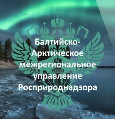 Канал Балтийско-Арктическое межрегиональное управление Росприроднадзора в мессенджере MAX — 23 подписчика