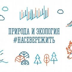 Канал Минприроды Мурманской области в мессенджере MAX — 154 подписчика