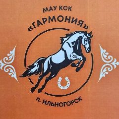 Канал МАУ КСК "Гармония" п.Ильиногорск в мессенджере MAX — 21 подписчик