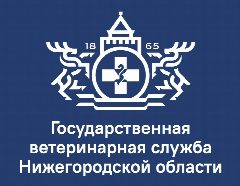 Канал ГБУ НО "Госветуправление Починковского муниципального округа" в мессенджере MAX — 37 подписчиков