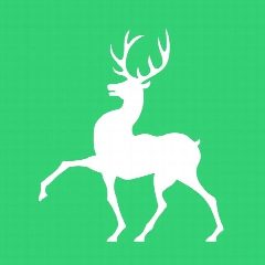 Канал Муниципальное бюджетное учреждение дополнительного образования "Детский оздоровительно-образовательный центр "Соловьи" в мессенджере MAX — 16 подписчиков