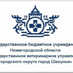 Канал ГБУ НО "Госветуправление МО г.Шахунья" в мессенджере MAX — 39 подписчиков