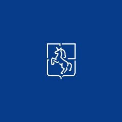 Канал Контрольно-счетная инспекция городского округа город Выкса в мессенджере MAX — 11 подписчиков