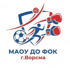 Канал ФОК г.Ворсма в мессенджере MAX — 110 подписчиков
