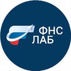 Канал Академия ФНС ЛАБ в мессенджере MAX — 1 373 подписчика