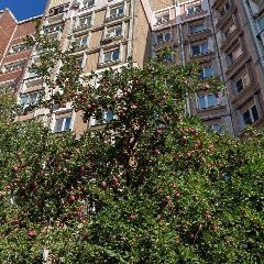 Канал Частное учреждение "ЖЭК МЖК" в мессенджере MAX — 20 подписчиков