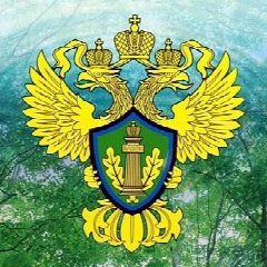 Канал Росприроднадзор по Нижегородской области и Республике Мордовия в мессенджере MAX — 68 подписчиков