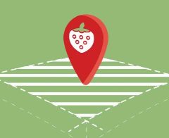 Канал Земляника🍓 в мессенджере MAX — 88 подписчиков
