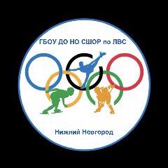 Канал ГБОУ ДО НО «СШОР по ледовым видам спорта» в мессенджере MAX — 54 подписчика