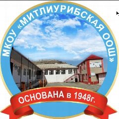 Канал МКОУ "МИТЛИУРИБСКАЯ ООШ" в мессенджере MAX — 18 подписчиков