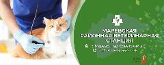 Канал Марёвская районная ветеринарная станция в мессенджере MAX — 34 подписчика