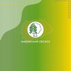 Канал НОАУ Маревский лесхоз в мессенджере MAX — 15 подписчиков