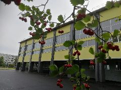 Канал МАОУ СОШ № 8 с УИМ и АЯ в мессенджере MAX — 847 подписчиков