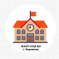 Канал МАОУ СОШ №9, г. Боровичи в мессенджере MAX — 799 подписчиков