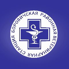 Канал ОБУ "Боровичская райветстанция" в мессенджере MAX — 57 подписчиков