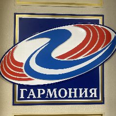 Канал МАОУ «Гимназия «Гармония» Великий Новгород в мессенджере MAX — 1 279 подписчиков