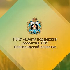 Канал Государственное областное казенное учреждение "Центр поддержки развития агропромышленного комплекса Новгородской области" в мессенджере MAX — 33 подписчика