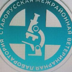 Канал ОБУ "Старорусская межрайветлаборатоия" в мессенджере MAX — 22 подписчика