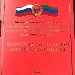 Канал МКОУ Колинская начальная школа-детский сад в мессенджере MAX — 37 подписчиков