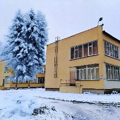 Канал МБДОУ д/с № 401 в мессенджере MAX — 227 подписчиков